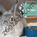 Пълноценна гранулирана храна за Зайци, 2,270 кг. - Oxbow Essentials Adult Rabbit